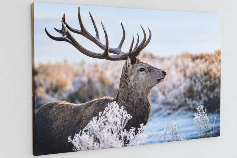 Wandbild mit Hirsch im Familienzimmer