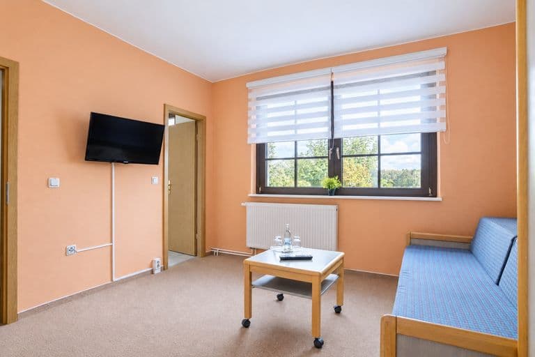 Wohnbereich der Junior-Suite mit Schlafsofa, Couchtisch und Fernseher